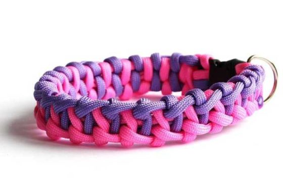 Pawesome Home Essentials: Must-Have Dog Accessories!