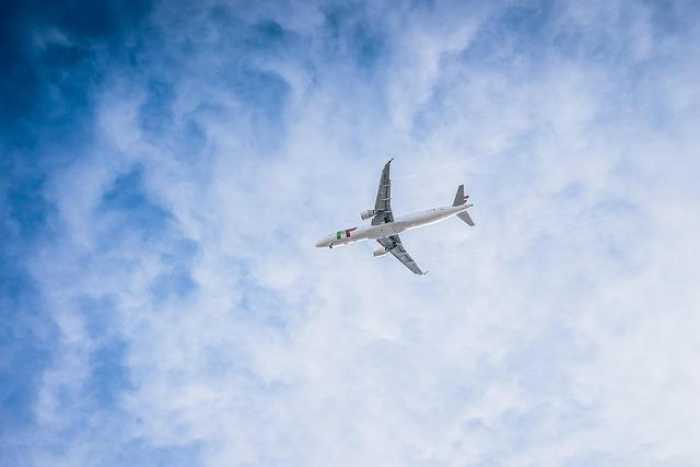 Fly Pup-Friendly: Best Airlines for Dog Travel Adventures!
