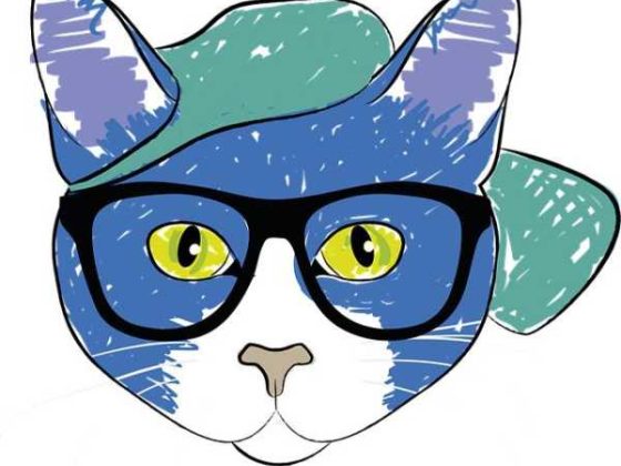 Must-Have Cat Accessories to Jazz Up Your Home!