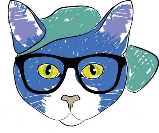 Must-Have Cat Accessories to Jazz Up Your Home!