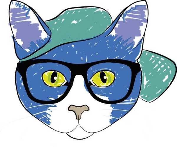 Must-Have Cat Accessories to Jazz Up Your Home!